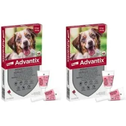 Advantix Spot-on Hund 10-25 kg Lösung