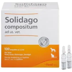 Solidago Compositum Ampullen ad usus veterinär