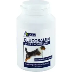 Avitale Glucosamin+chondroitin Kapseln für Hunde