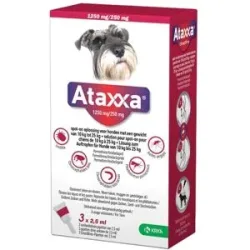Ataxxa 1250 mg/250 mg Lösung zum Auftropfen für Hunde von 10-25