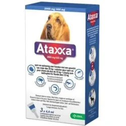Ataxxa 2000 mg/400 mg Lösung zum Auftropfen für Hunde über 25kg