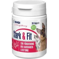 GIGI VET Stark & Fit für Hunde und Katzen N30