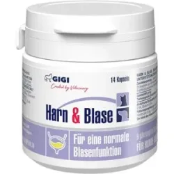 GIGI VET Harn & Blase N14