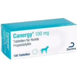 Canergy 100mg Tabletten für Hunde Propentofyllin