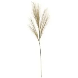Höffner Pampaswedel   ¦ braun ¦ Kunststoff,Naturfaser ¦ Maße (cm): B: 18 H: 110