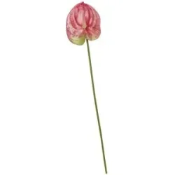 Höffner Kunstblume Anthurium   ¦ rosa/pink ¦ Kunststoff ¦ Maße (cm): H: 67  Ø: 14