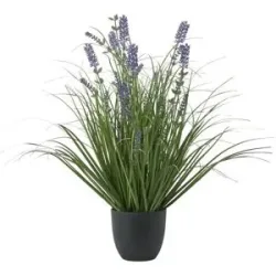 Höffner Lavendel getopft   ¦ lila/violett ¦ Kunststoff ¦ Maße (cm): H: 56  Ø: 35