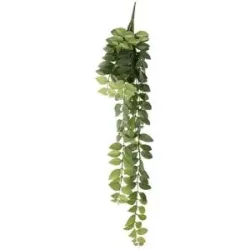 Höffner Columnea Ranke   ¦ grün ¦ Kunststoff ¦ Maße (cm): H: 85