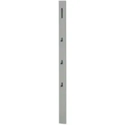Wohnwert Garderobenpaneel  Leo ¦ grau ¦ MDF-Platte ¦ Maße (cm): B: 10 H: 165 T: