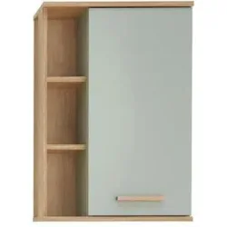Höffner Hängeschrank  Dehmsee ¦ grün ¦ Maße (cm): B: 50,5 H: 74,5