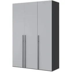 Dreamer eXpress Drehtürenschrank mit Glasfronten Dreamer ¦ grau ¦ Maße (cm): B: