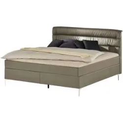 Höffner Boxspringbett  Lina ¦ beige ¦ Maße (cm): B: 148 H: 122