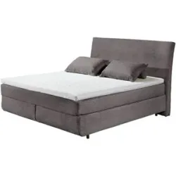 Höffner Boxspringbett  Kent ¦ braun ¦ Maße (cm): B: 185 H: 126