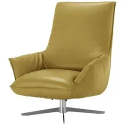 Koinor Sessel  Isira ¦ grün ¦ Maße (cm): B: 80 H: 102 T: 102.0