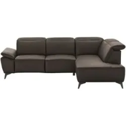 uno Ecksofa  Belfast ¦ braun ¦ Maße (cm): B: 260 H: 100 T: 203.0