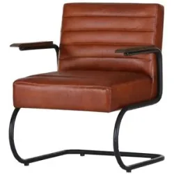 Höffner Freischwinger Sessel  Buff ¦ braun ¦ Maße (cm): B: 68 H: 84 T: 78.0