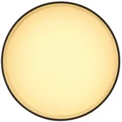 Globo Lighting Deckenleuchte   ¦ schwarz ¦ Maße (cm): H: 10,5  Ø: 14