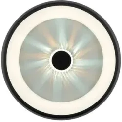 Paul Neuhaus Deckenleuchte   ¦ schwarz ¦ Maße (cm): H: 10  Ø: 45