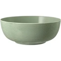 Seltmann Weiden Foodbowl  Beat ¦ grün ¦ Porzellan Ø: 20