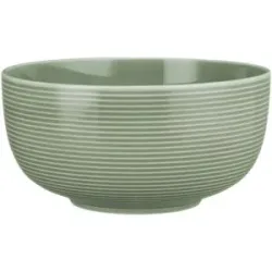 Seltmann Weiden Foodbowl  Beat ¦ grün ¦ Porzellan ¦ Maße (cm): H: 8,8  Ø: 18