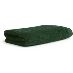Möve Badetuch   ¦ grün ¦ Maße (cm): B: 100 H: 1
