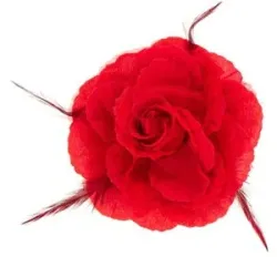 Klammer Rose