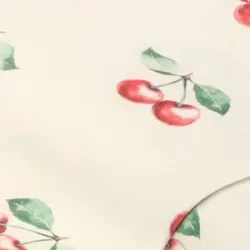 Beschichteter Canvas 
