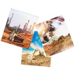 Digital-Baumwoll-Jersey-Coupon 