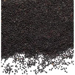 Bio-Rapssamen, 1 kg