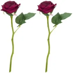 Rosen, dunkelrot, 30 cm, 2 Stück