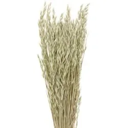 Haferbund, grün, 150 g