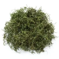 Dschungelgras, grün, 50 g