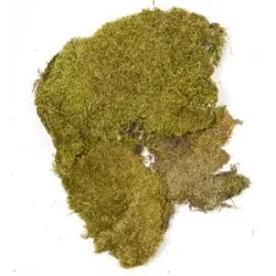Echte Moosplatten, 100 g