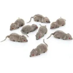 Mäuse, 5 cm, 8 Stück