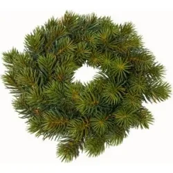 Tannenkranz, ca. 20 cm Ø