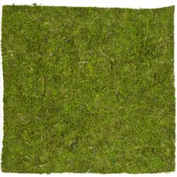 Moosmatte, 35 x 35 cm