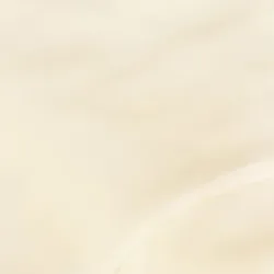 Chiffon 