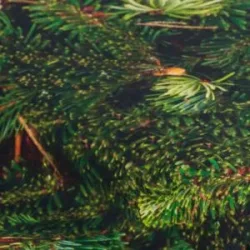 Baumwollstoff-Digitaldruck 