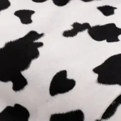 Fellimitat 