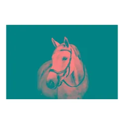 Horseware Zaum Micklem Diamante - Schwarz -  Grösse Pferd: Pony