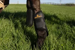 Kentucky Turnout Boots ProAir - Schwarz -  Grösse: L