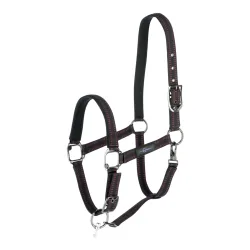 Covalliero GoLeyGo 2.0 Halfter - schwarz/fuchsia Farbe: Schwarz/Fuchsia, Grösse Pferd: Shettland Pony