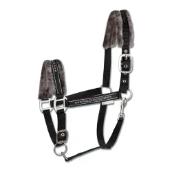 Waldhausen Halfter Elegant - Schwarz -  Farbe: Schwarz, Grösse Pferd: Pony