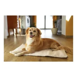 Kerbl Pet Selbstwärmendes Liegekissen - Beige -  Breite Länge: 50 x 75 cm