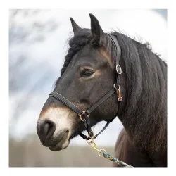 Soulhorse Elegantes Lederhalfter aus Fettleder - Grau/Rosegold -  Grösse Halfter: Shetty, Farbe: Grau/Rosegold