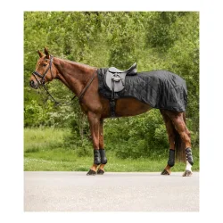 Waldhausen Nierendecke Exclusive - Schwarz -  Grösse: Pony, Farbe: Schwarz