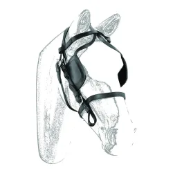 Umbria Equitazione Fahrzaum - Schwarz -  Grösse Pferd: Cob