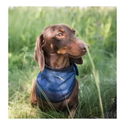Back on Track Cooling Bandana - Blau -  Grösse: S