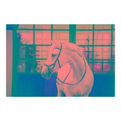 Horseware Zaum Micklem Deluxe - Dark Havana -  Grösse Pferd: Cob