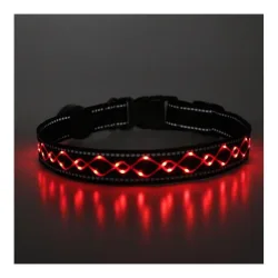 Animal Light Leucht-Hundehalsband 